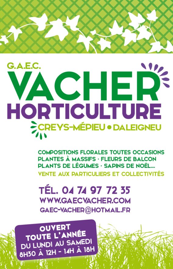 VACHER